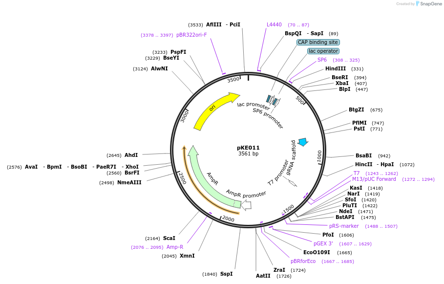 414012_map