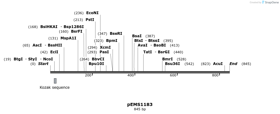 41402_map