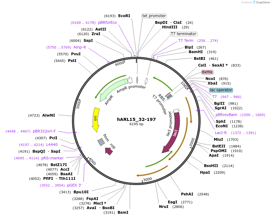 414031_map