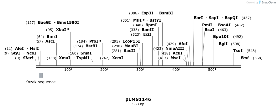 41404_map