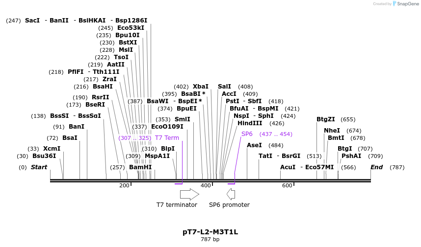 41406_map
