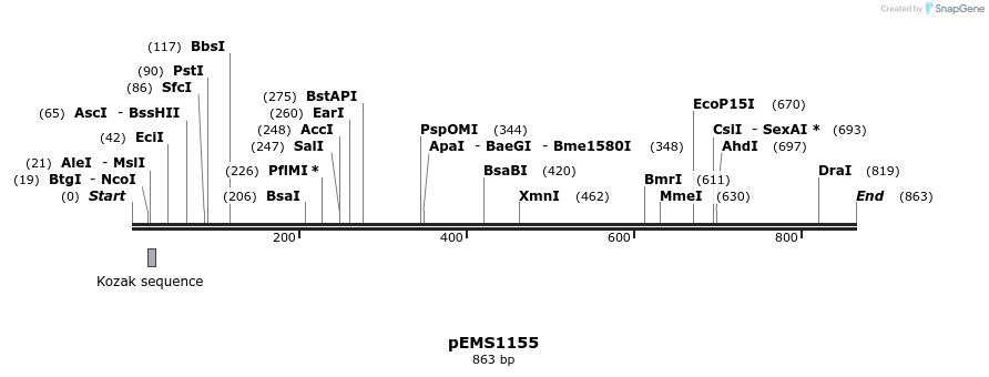 41407_map
