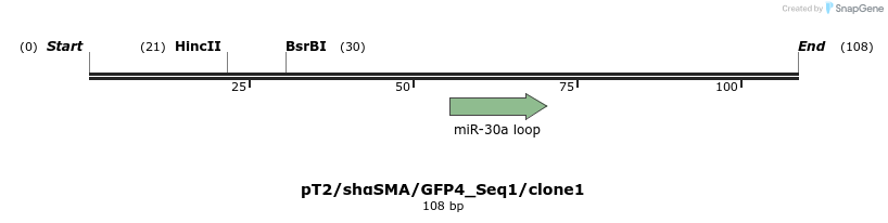 414078_map