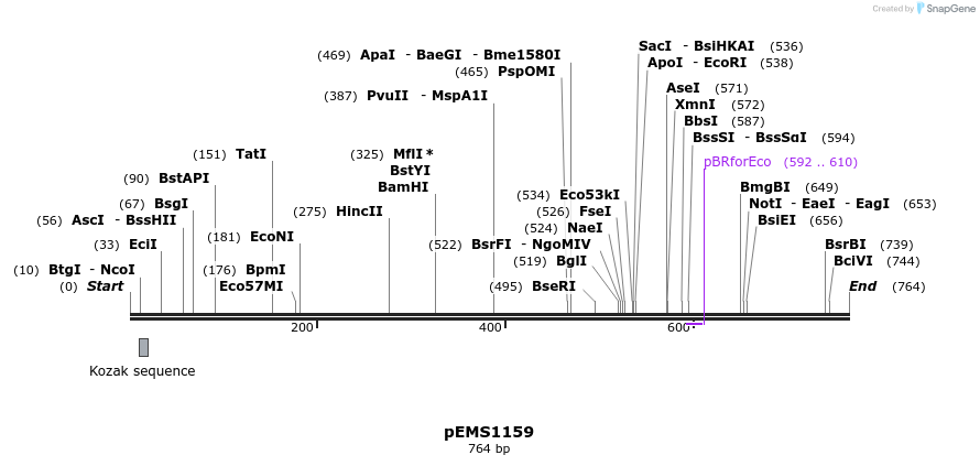 41410_map