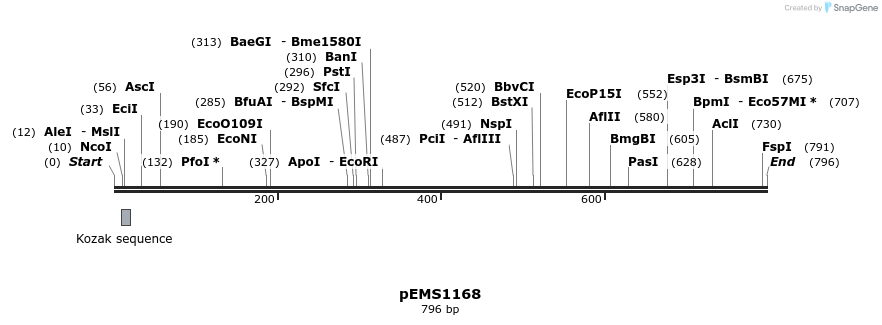 41416_map