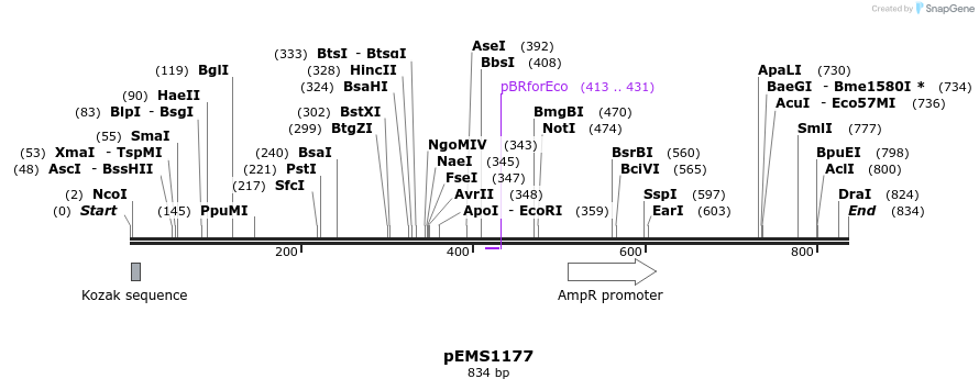 41417_map