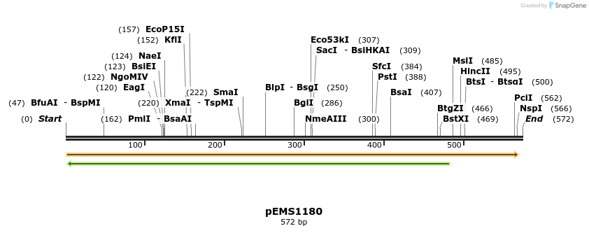 41418_map