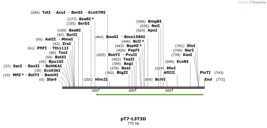 41419_map