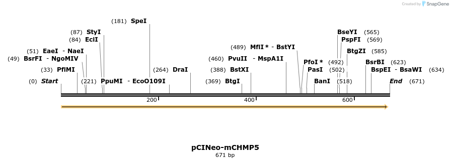 41421_map