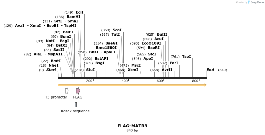 41424_map
