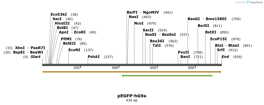 41426_map