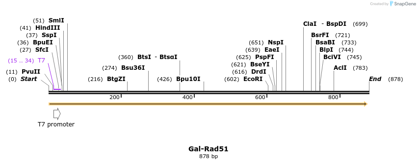 41428_map