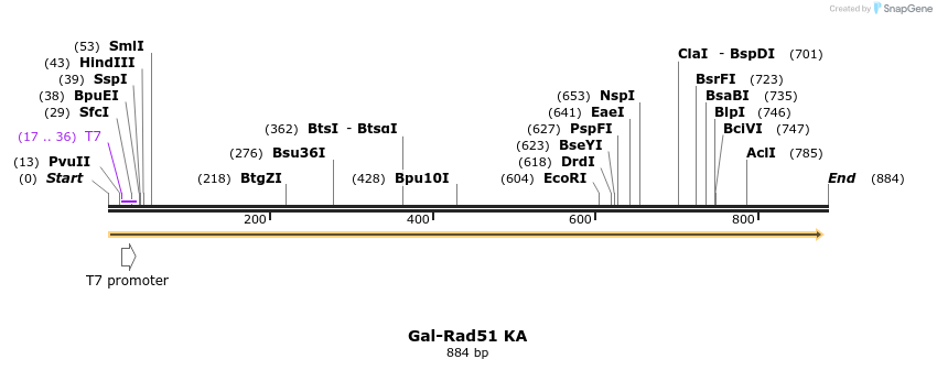 41429_map