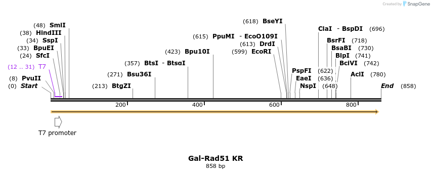 41430_map