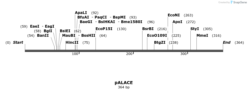 41445_map