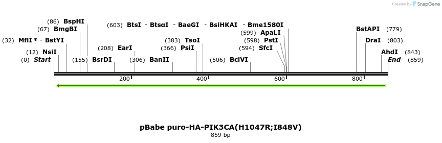 41447_map