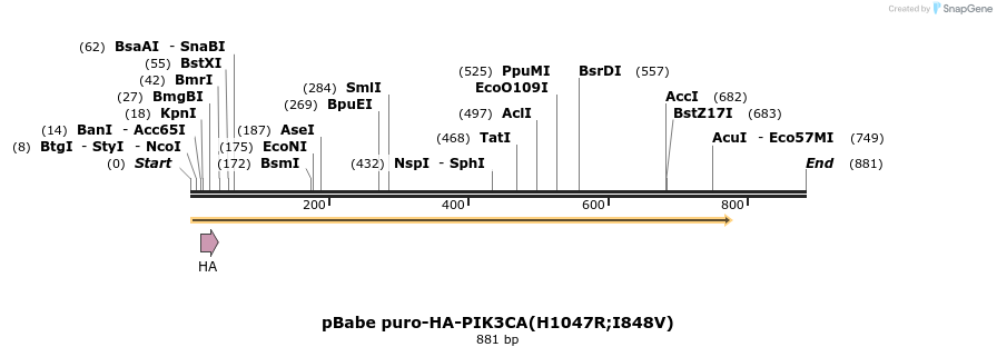 41448_map
