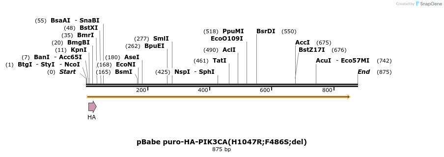 41453_map