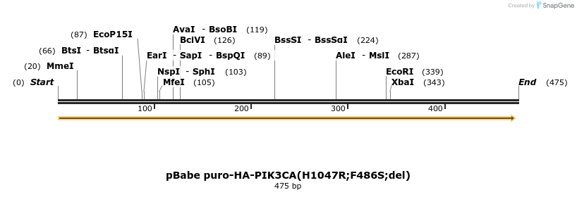 41454_map