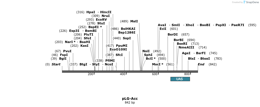 41459_map