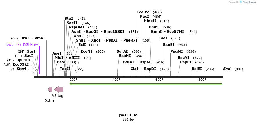41471_map