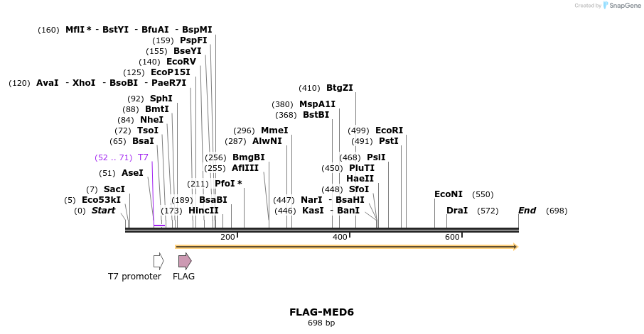 41475_map