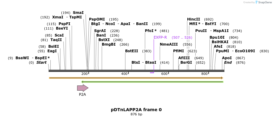 41477_map