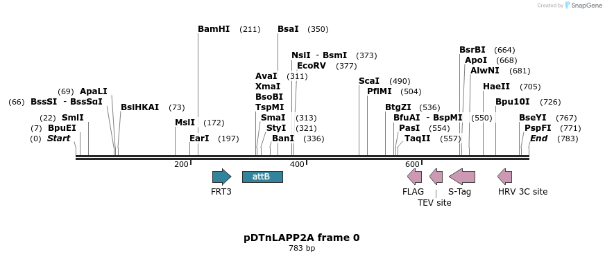 41478_map