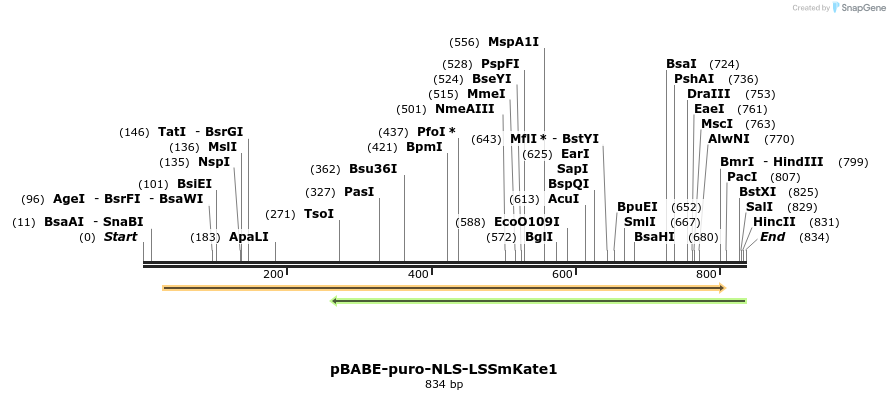 41479_map