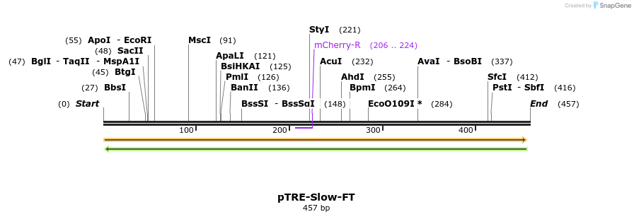 41480_map