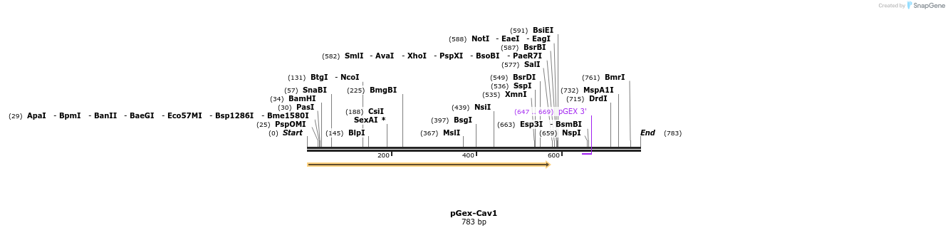 41490_map