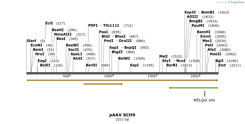414910_map