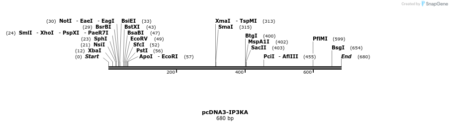41493_map