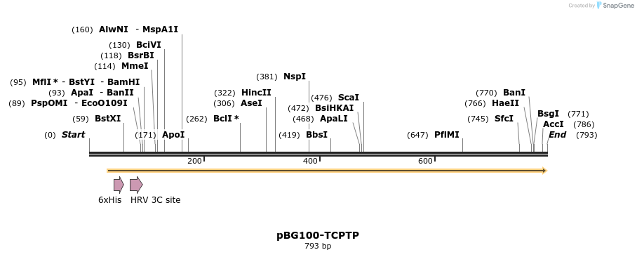 41497_map