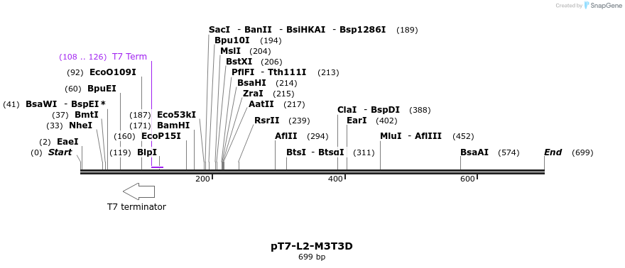 41498_map