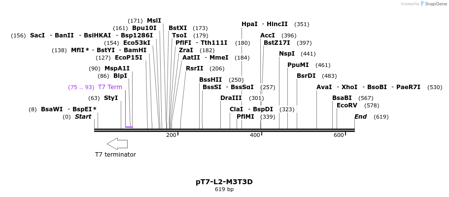 41499_map