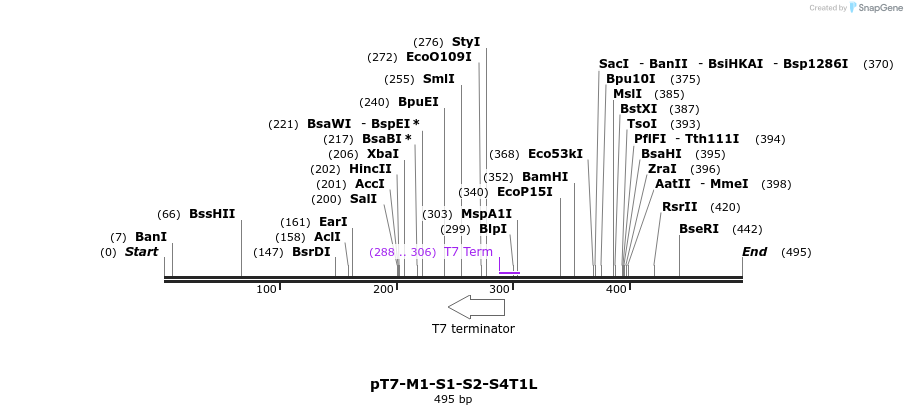 41503_map
