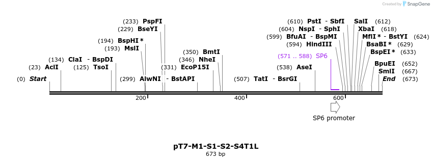 41504_map