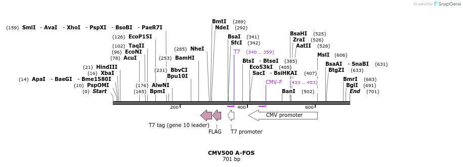 41516_map