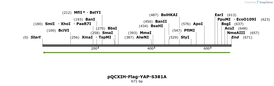 41520_map