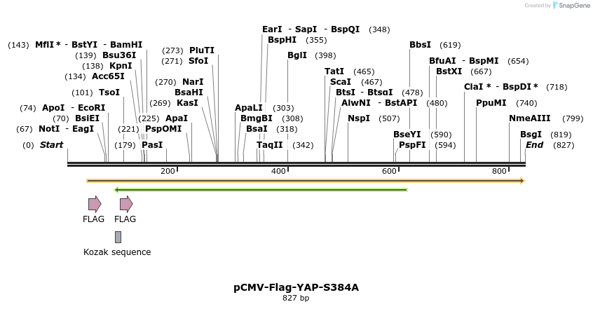 41522_map