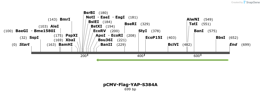 41523_map