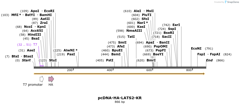 41530_map