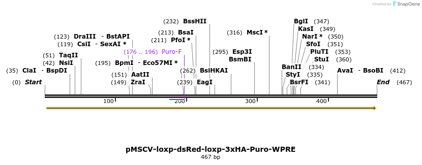 41532_map