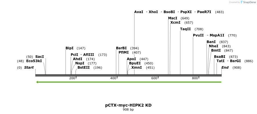 41538_map
