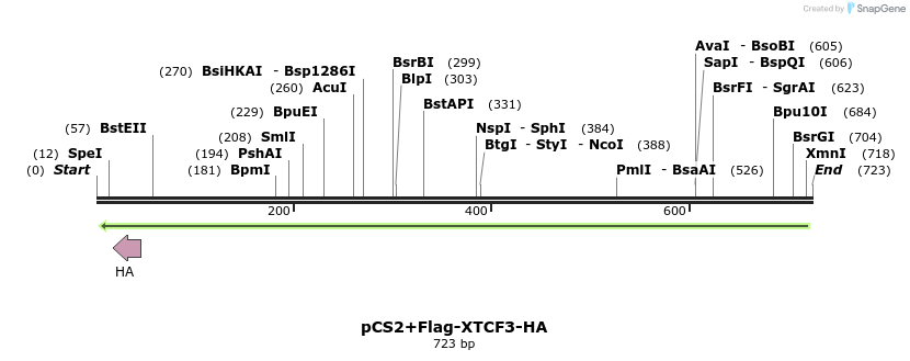 41539_map