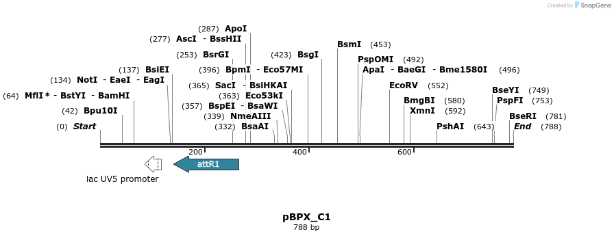 41541_map