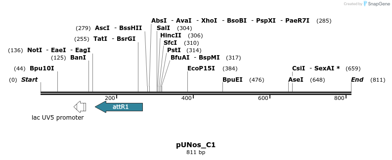 41542_map