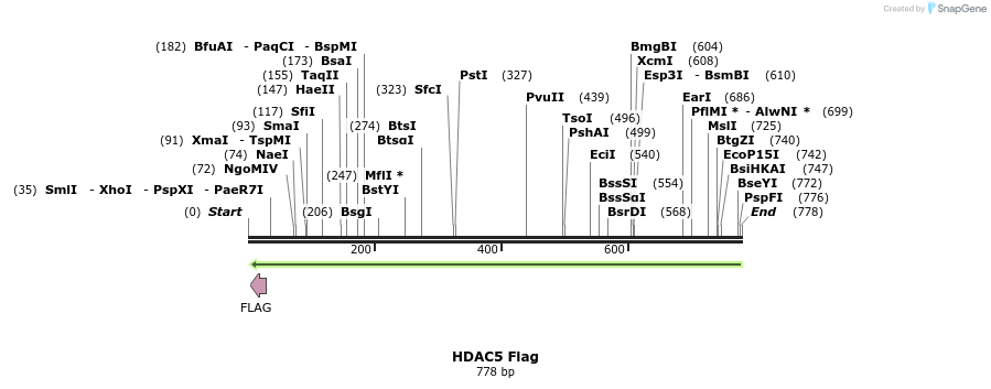 41551_map