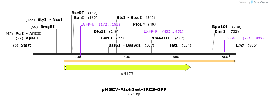 41556_map
